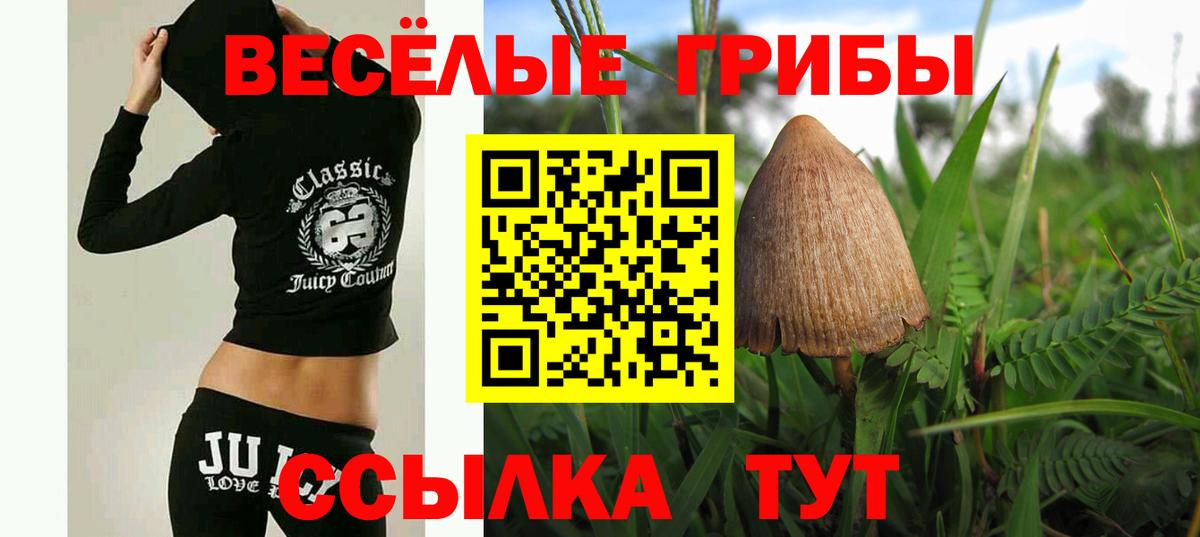 Галлюциногенные грибы мицелий  Вход с VPN  Изобильный 